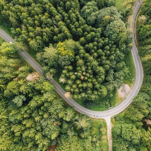 ¿Cómo afecta la conducción al medioambiente?