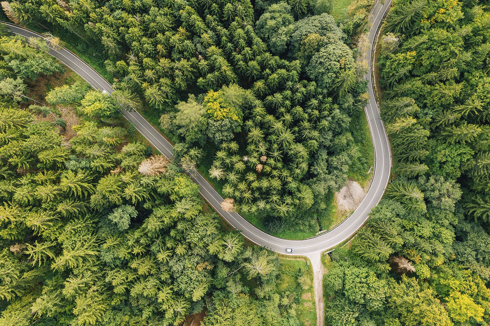 ¿Cómo afecta la conducción al medioambiente?