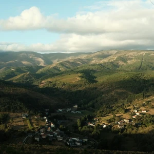 Transferencia de vehículos en Soria